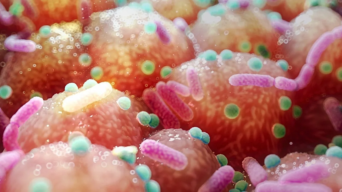 Scoperto il legame tra intestino e cervello nell'insorgenza del morbo di Parkinson