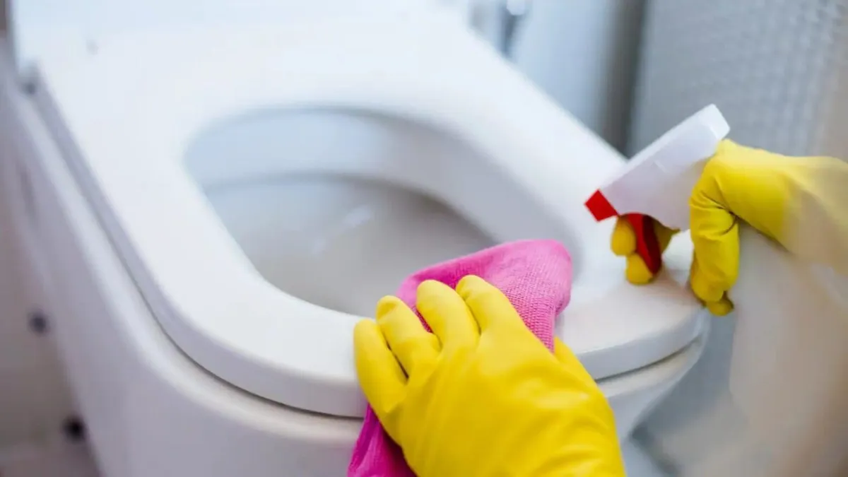 Hack virale per un WC splendente: come usare aceto e bicarbonato